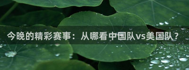 鼎天：今晚的精彩赛事：从哪看中国队vs美国队？