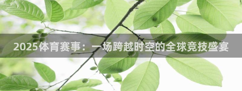 鼎天国际注册：2025体育赛事：一场跨越时空的全球竞技盛宴