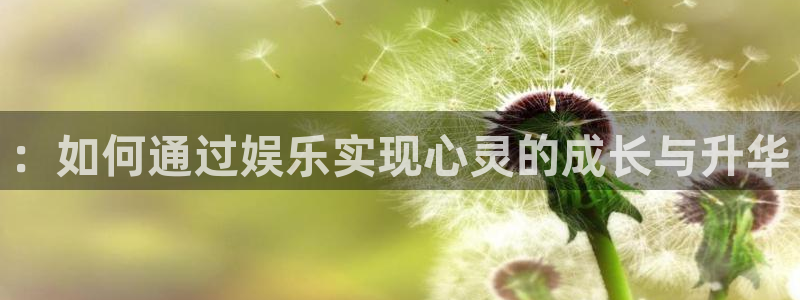 鼎天国际平台：：如何通过娱乐实现心灵的成长与升华