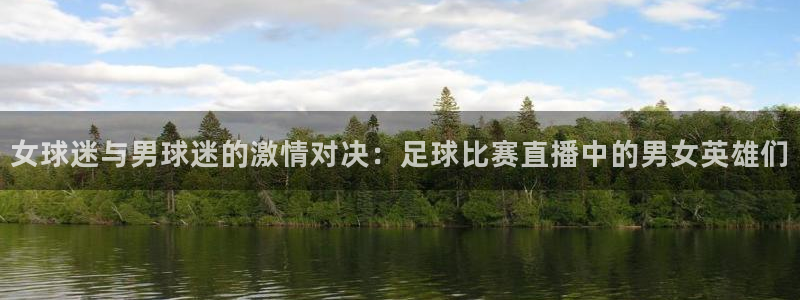 鼎天国际链接：女球迷与男球迷的激情对决：足球比赛直播中的男女英雄们