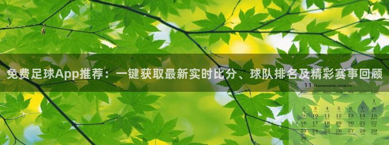 鼎天国际：免费足球App推荐：一键获取最新实时比分、球队排名及精彩赛事回顾