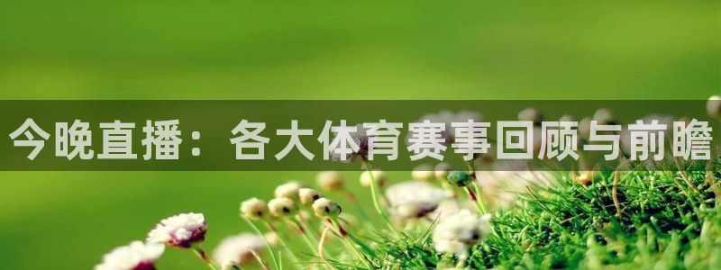 鼎天国际服com：今晚直播：各大体育赛事回顾与前瞻
