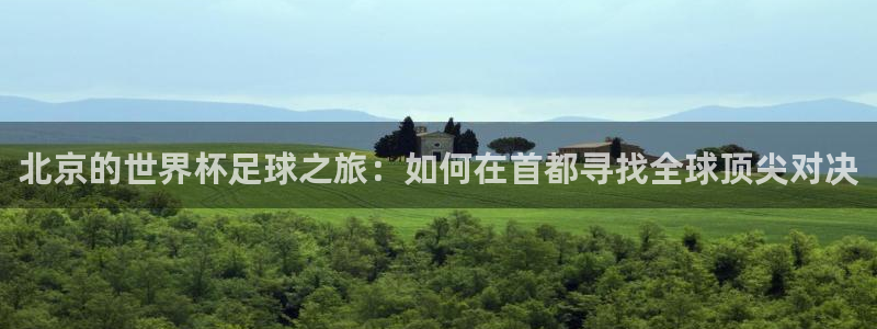 天津鼎天国际拍卖有限公司：北京的世界杯足球之旅：如何在首都寻找全球顶尖对决