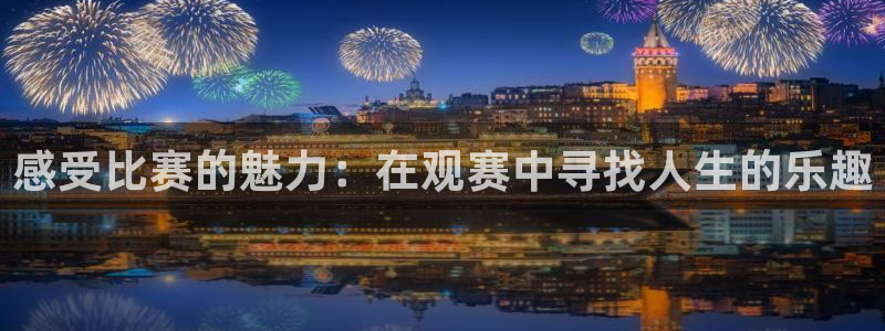 鼎天国际拍卖有限公司：感受比赛的魅力：在观赛中寻找人生的乐趣