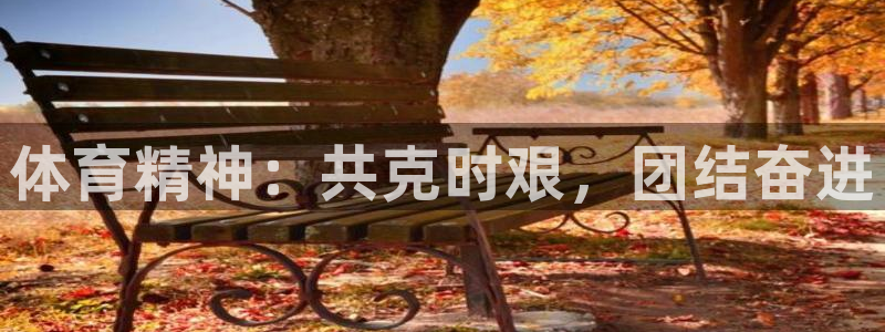 鼎天国际安卓版下载入口：体育精神：共克时艰，团结奋进