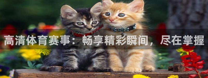 鼎天国际网页入口：高清体育赛事：畅享精彩瞬间，尽在掌握