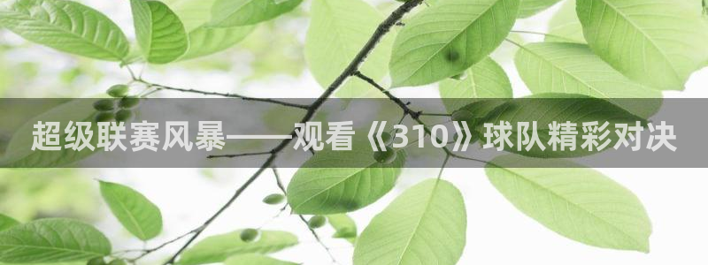 鼎天国际拍卖有限公司：超级联赛风暴——观看《310》球队精彩对决