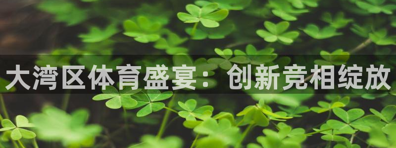 鼎天国际拍卖有限公司是不是正规的：大湾区体育盛宴：创新竞相绽放