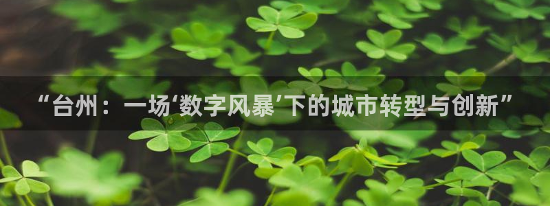 鼎天国际官网入口在哪：“台州：一场‘数字风暴’下的城市转型与创新”