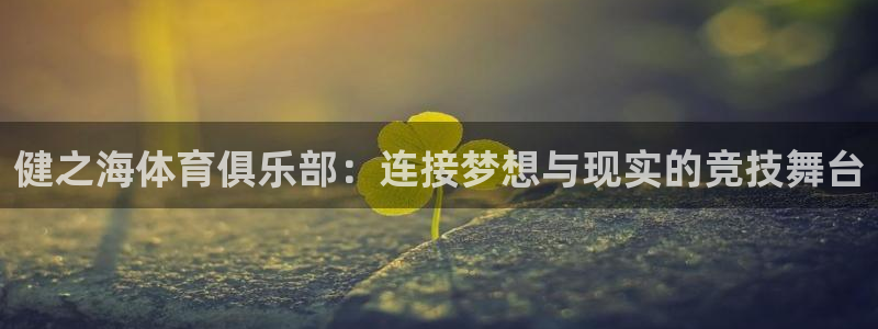 鼎天国际官网：健之海体育俱乐部：连接梦想与现实的竞技舞台