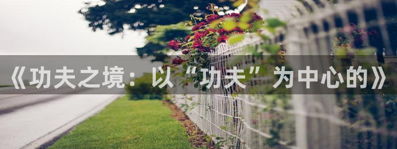 鼎天国际君临国际：《功夫之境：以“功夫”为中心的》