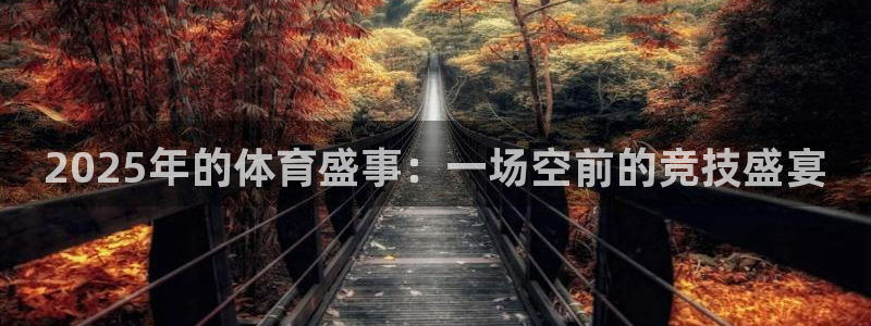 鼎天国际体育：2025年的体育盛事：一场空前的竞技盛宴