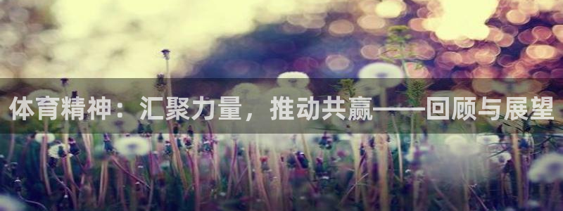 鼎天国际君临国际：体育精神：汇聚力量，推动共赢——回顾与展望