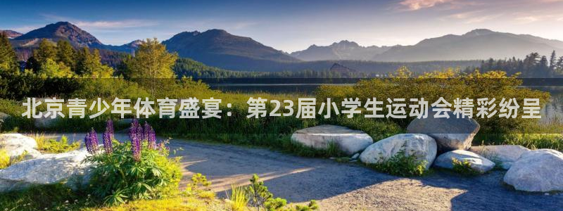 鼎天国际官网入口在哪：北京青少年体育盛宴：第23届小学生运动会精彩纷呈