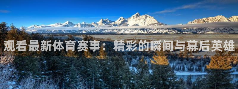 鼎天国际拍卖有限公司：观看最新体育赛事：精彩的瞬间与幕后英雄