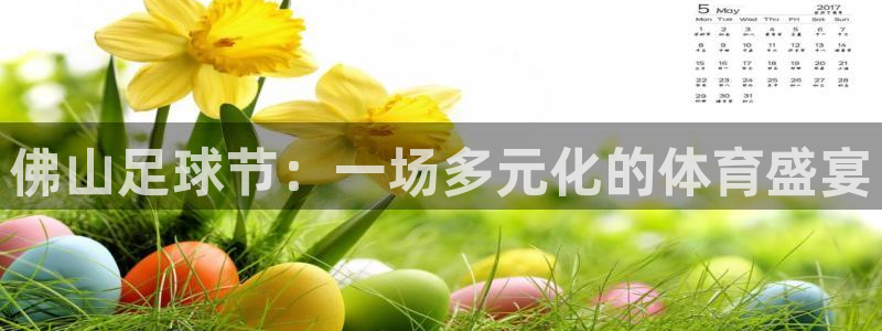 天津鼎天国际拍卖有限公司：佛山足球节：一场多元化的体育盛宴