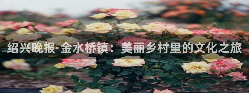 鼎天国际入口：绍兴晚报·金水桥镇：美丽乡村里的文化之旅