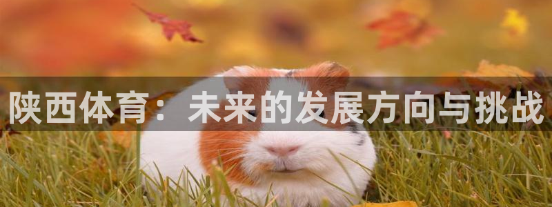 鼎天国际网站官网入口：陕西体育：未来的发展方向与挑战