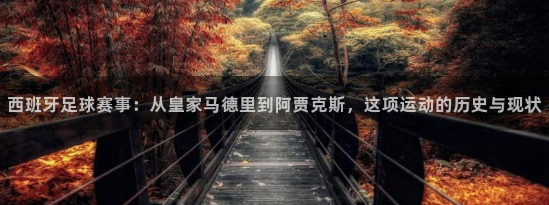 鼎天国际网页版入口官网：西班牙足球赛事：从皇家马德里到阿贾克斯，这项运动的历史与现状