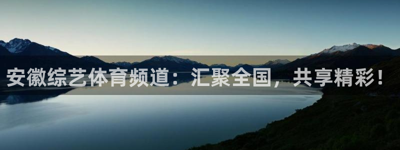 天津鼎天国际拍卖有限公司：安徽综艺体育频道：汇聚全国，共享精彩！
